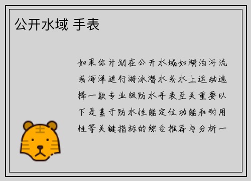 公开水域 手表
