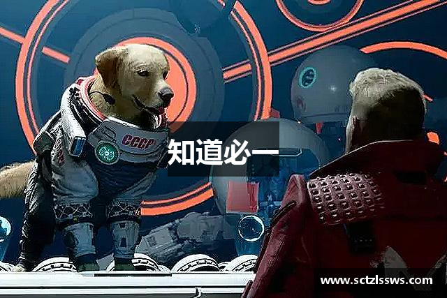 知道必一